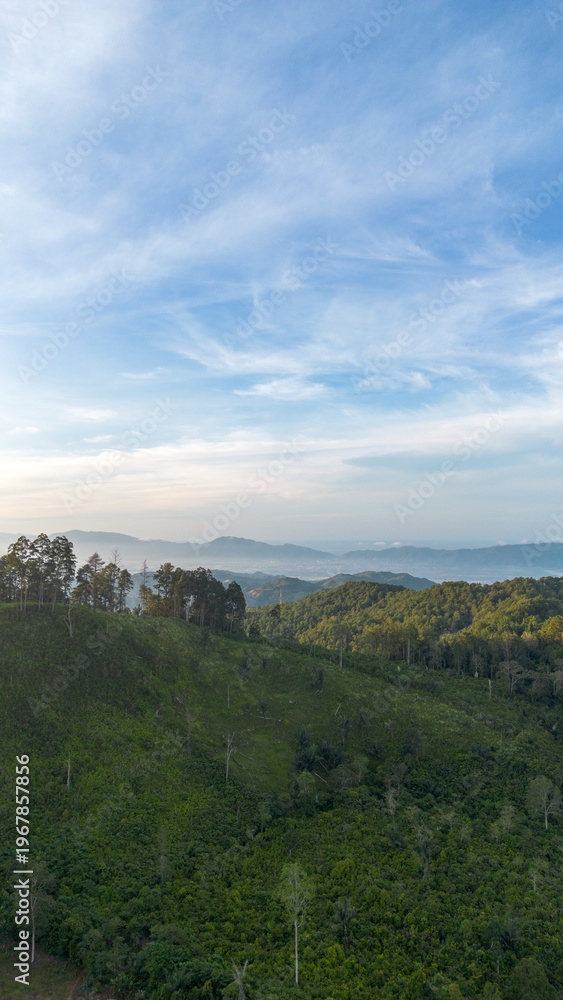 Fototapeta premium Aerial View of Green Hills and Forest
