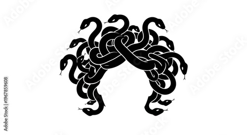 Abstract Black Snakes Entangled