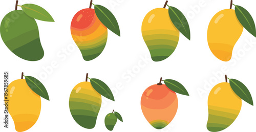 Mango fruit varieties flat vector set. Collection of different ripe mango shapes and colors with leaves. Tropical illustrations for food, farming and fresh produce design.