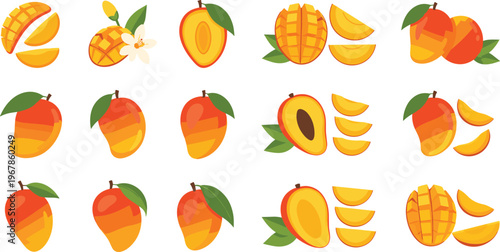 Mango vector set with whole fruits and sliced pieces. Fresh ripe tropical fruit collection in flat style isolated on white background. Sweet juicy food illustration.