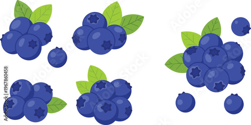 Blueberry vector set with clusters and scattered berries. Fresh ripe fruit collection with green leaves isolated on white background. Organic healthy food illustration for design.