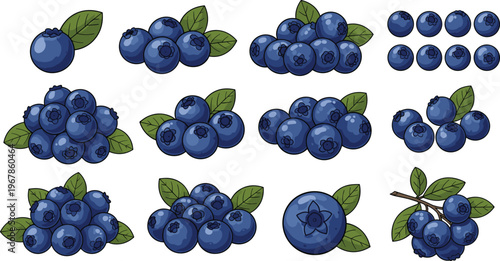 Blueberry vector set with multiple clusters and single berries. Fresh ripe fruit collection with leaves isolated on white background. Organic healthy food illustration for design.