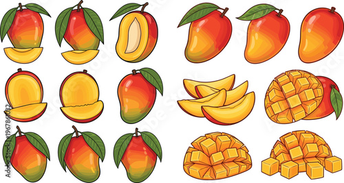 Mango vector set with whole, sliced and diced fruit pieces. Fresh tropical fruit illustration in bright style. Perfect for packaging, menus and summer food design.