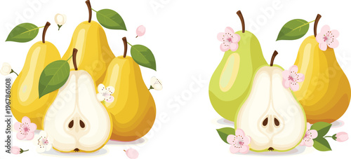 Pear vector composition with blossoms and leaves. Whole and sliced fruits in soft colors. Elegant organic food illustration for packaging, branding, and healthy lifestyle design.