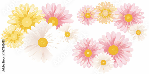 A collection of colorful daisy flowers arranged on a white background