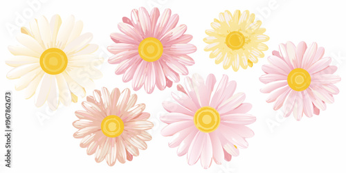 A collection of colorful daisy flowers with varying shades of pink and yellow