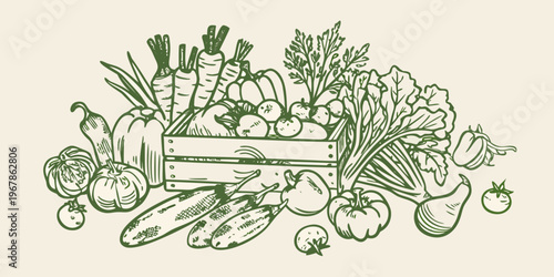 A bountiful sketch of fresh vegetables arranged in and around a crate