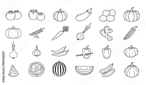 Vegetable doodle set menu food hand drawn tomatoes pumpkin carrot vector illustration