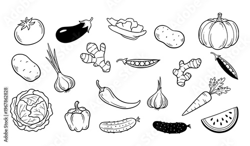 Playful vegetable doodle collection hand drawn organic menu food vector illustration