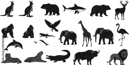 Photography Wild animals silhouettes collection lion tiger elephant giraffe deer shark dolph