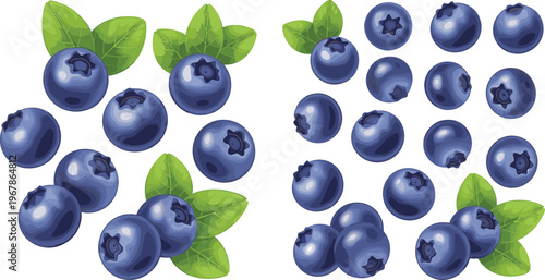 Blueberry vector set with single berries and clusters with leaves. Fresh organic fruit in realistic glossy style. Ideal for packaging, food branding and healthy design projects.