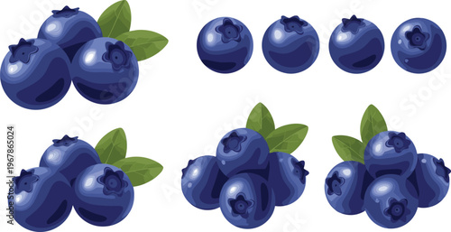 Blueberry vector set with clusters and single berries. Fresh juicy fruit with green leaves in realistic glossy style. Ideal for packaging, food branding and healthy designs.