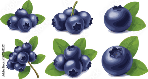 Blueberry realistic vector set with clusters and single berries. Fresh juicy fruit with green leaves in glossy style. Perfect for packaging, food branding and healthy designs.