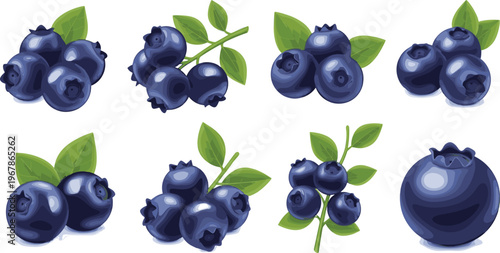 Blueberry set with clusters, branches and single berry vector elements. Fresh organic fruit with leaves in realistic glossy style. Ideal for packaging, food branding and healthy designs.