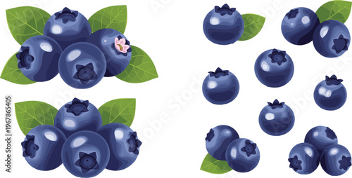 Blueberry collection with clusters and single berries vector set. Fresh organic fruit with leaves in realistic style. Perfect for packaging, food branding and healthy design projects.