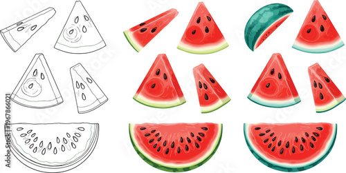 Watermelon slices vector set with sketch and colored styles. Juicy red flesh with seeds and green rind illustrations. Perfect for summer food design, menus, and fresh visuals.
