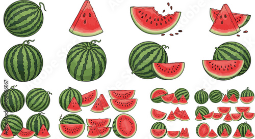 Watermelon vector collection with whole fruits and sliced pieces in multiple styles. Bright juicy red flesh and green rind illustrations. Perfect for summer food design, patterns, and fresh visuals.