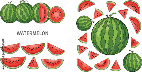 Watermelon vector set with slices and whole fruits in circular composition. Juicy red flesh and green rind in flat style. Perfect for summer food design, patterns, and fresh branding.