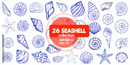 Collection of hand drawn blue seashell illustrations with a red label