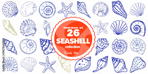 Collection of hand drawn seashells and starfish in blue ink sketches