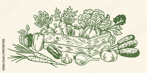 A bountiful harvest of fresh vegetables arranged in a wooden crate