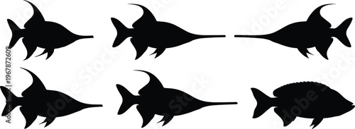 Archerfish silhouette set. Tropical aquarium vector collection showing water shooting action and multiple poses. Freshwater fish silhouettes isolated for nature, wildlife, and design use.