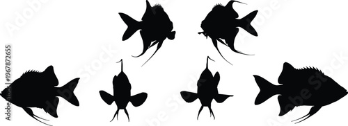 Archerfish silhouette set. Tropical aquarium vector collection with curved title and dynamic poses. Freshwater fish silhouettes isolated for logo, poster, and graphic design use.