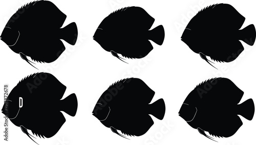 Discus fish silhouette set. Tropical aquarium vector collection with bold shapes and flowing fins. Freshwater discus silhouettes isolated for pet, nature, and graphic design use.