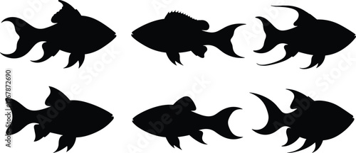 Rainbowfish silhouette set. Tropical aquarium fish vector collection with stylized fins and decorative shapes. Freshwater fish silhouettes isolated for logo, art, and graphic design use.