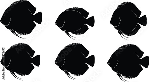 Discus fish silhouette set. Tropical aquarium vector collection with round body shapes and flowing fins. Freshwater discus silhouettes isolated for pet, nature, and design use.