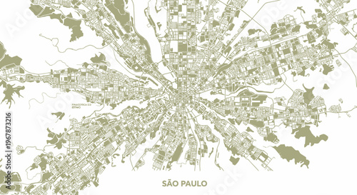 Sao Paulo City Map, Aerial View, Urban Sprawl, Street Network, White Background
