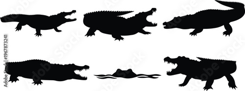 Crocodile silhouette set. Alligator vector collection with labeled design and multiple poses. Wild reptile shapes isolated for education, logo, wildlife, and graphic projects.