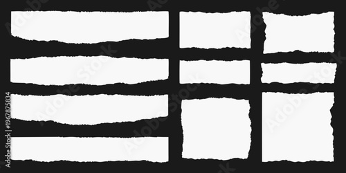 Collection of torn paper scraps against a black background