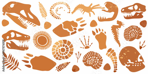 Paleontological illustrations of dinosaur fossils and prehistoric life forms