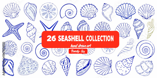 Collection of twenty six hand drawn blue line art seashells and starfish