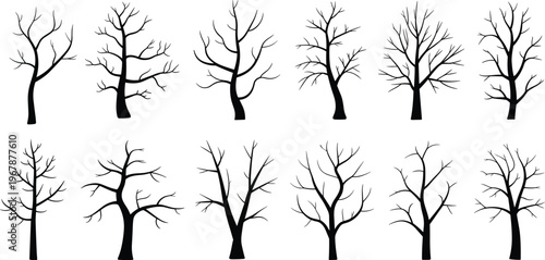 Black silhouette collection of various bare trees and leafless branches isolated on a white background for winter autumn nature and spooky graphic design elements.