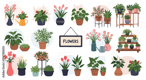 Extensive collection of various indoor potted plants and colorful flowers arranged for a botanical or garden shop.