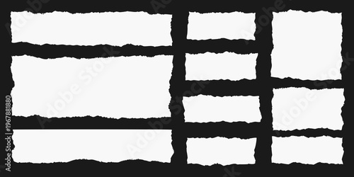 Collection of torn paper scraps against a stark black background