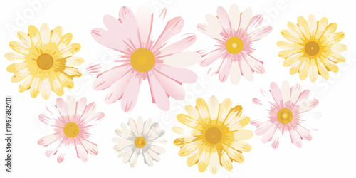 A collection of watercolor style daisy flowers in varying shades