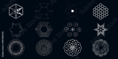 Intricate geometric designs resembling diatoms and microscopic cellular structures