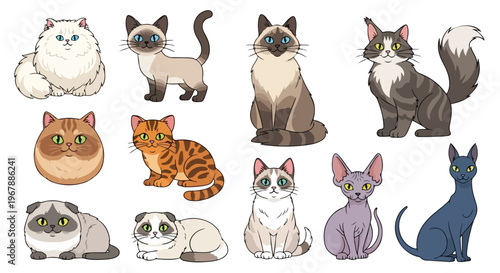 cartoon animal bundle, 9 cat breeds in one square frame, Persian Siamese Maine Coon British Shorthair Bengal Scottish Fold Ragdoll Sphynx Russian Blue, adorable vector characters