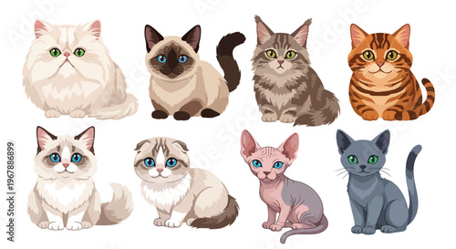 9 cat breeds cartoon illustration in one frame, Persian Siamese Maine Coon British Shorthair Bengal Scottish Fold Ragdoll Sphynx Russian Blue, modern flat vector, clean outlines