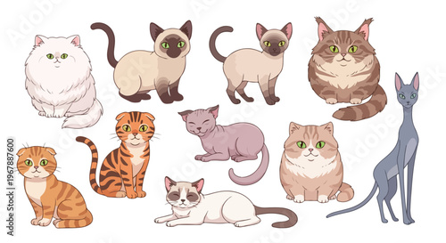 cute cat breeds cartoon collection in one frame, Persian Siamese Maine Coon British Shorthair Bengal Scottish Fold Ragdoll Sphynx Russian Blue, soft pastel cartoon style