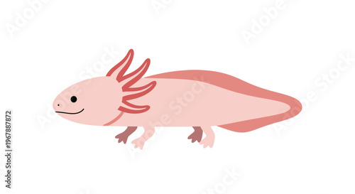 Cute Pink Axolotl Cartoon Illustration - Aquatic Amphibian Animal