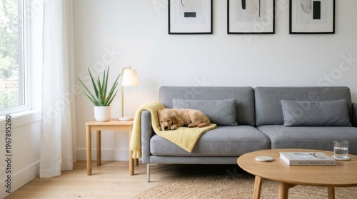 Adorable puppy napping peacefully on a cozy gray sofa with a yellow blanket in a minimalist living room