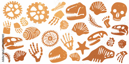 An assortment of antique orange illustrations skulls gears and fossils