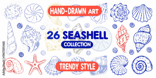 Hand drawn collection of diverse seashells in a trendy stylistic arrangement