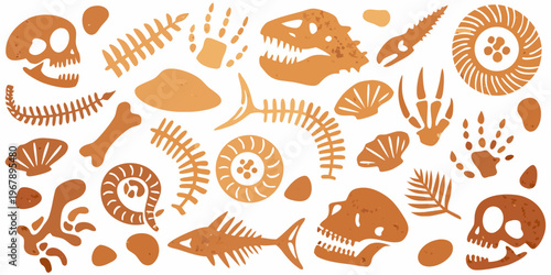 A collection of fossilized dinosaur bones shells and marine life