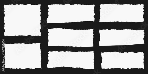 Arrangement of torn paper pieces against a dark background