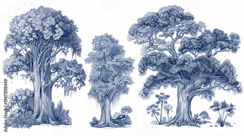 Blue watercolor style drawing of three mature trees with plants, set against white